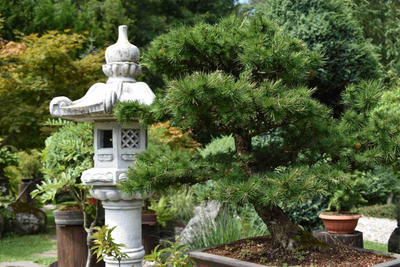 Srokowo Ogrod Shinrin Yoku 빌라 외부 사진