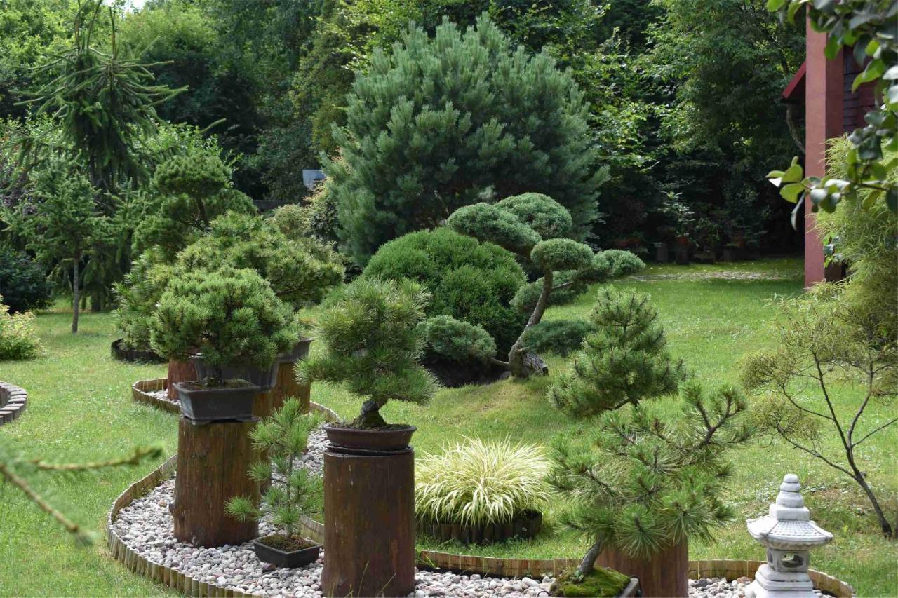 Srokowo Ogrod Shinrin Yoku 빌라 외부 사진