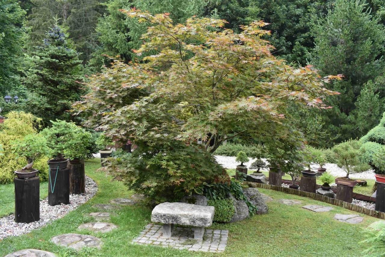 Srokowo Ogrod Shinrin Yoku 빌라 외부 사진